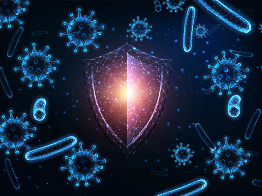 Supplements for a healthy immune system
