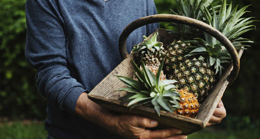 What is Bromelain?