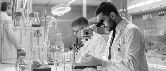 My Gut Report - New Microbiome Testing