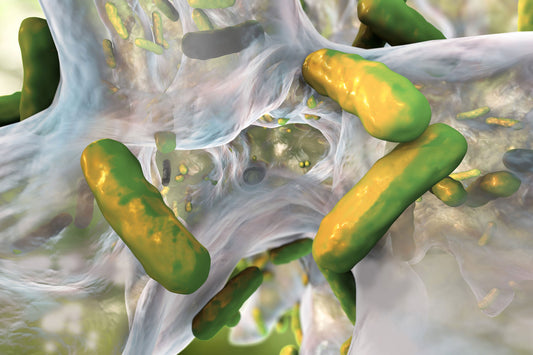 Neprinol Enzymes for Biofilms