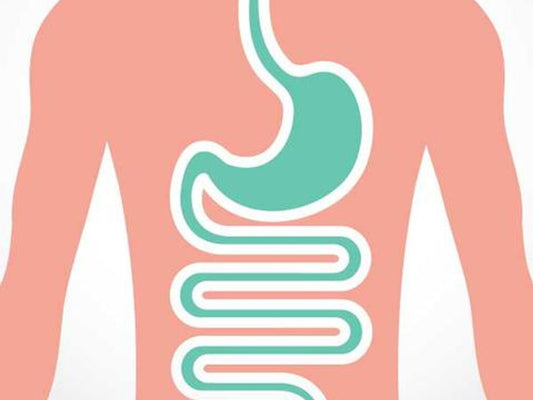 Protein Digestion Aminolase