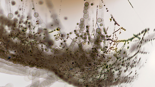 Syntol Naturally Dissolves Biofilms