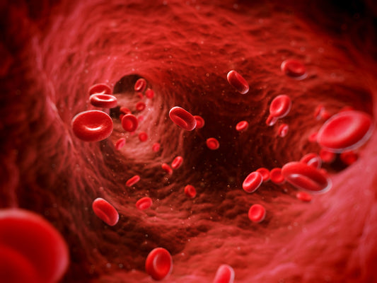 Blood Thinning vs. Blood Viscosity