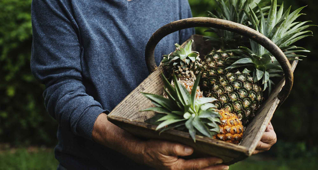 What is Bromelain?