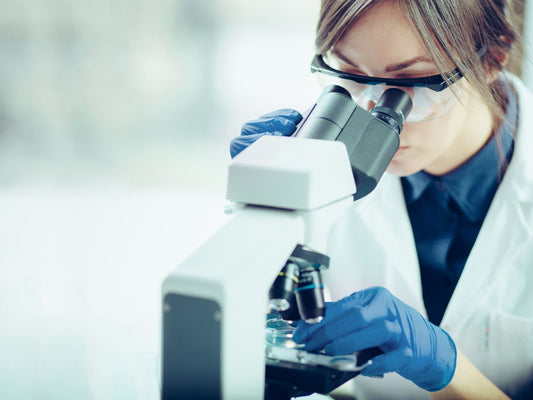 What are enzymes and where do they come from