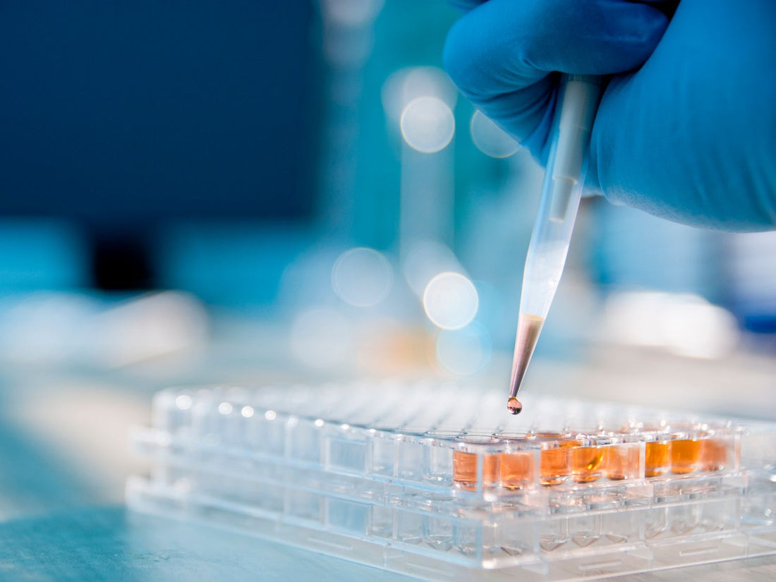 Serretia Clinical Study