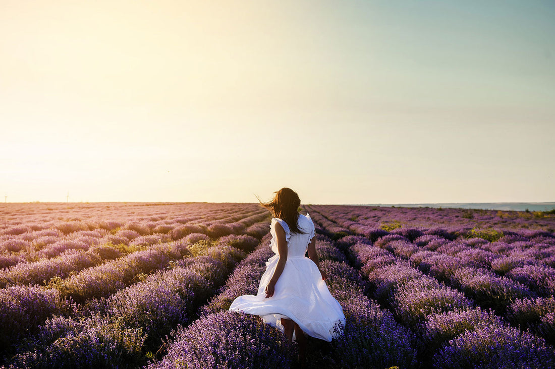 Fibrovera for Uterine and Hormonal Health