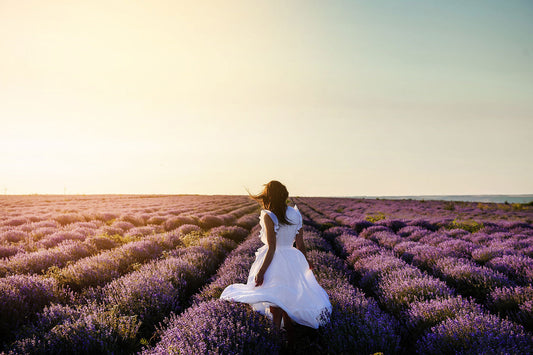 Fibrovera for Uterine and Hormonal Health