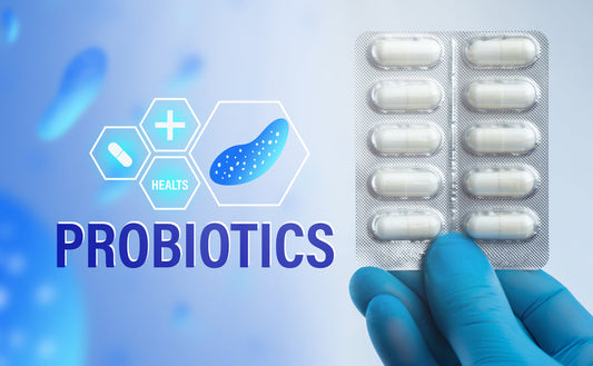 Syntol: Support for Intestinal Health and the Immune System