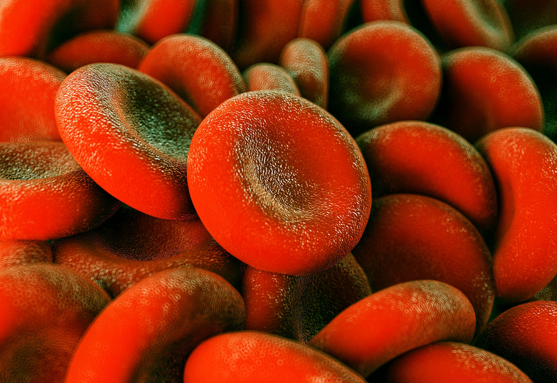 Blood Cleansing with Neprinol