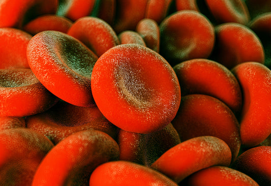 Blood Cleansing with Neprinol